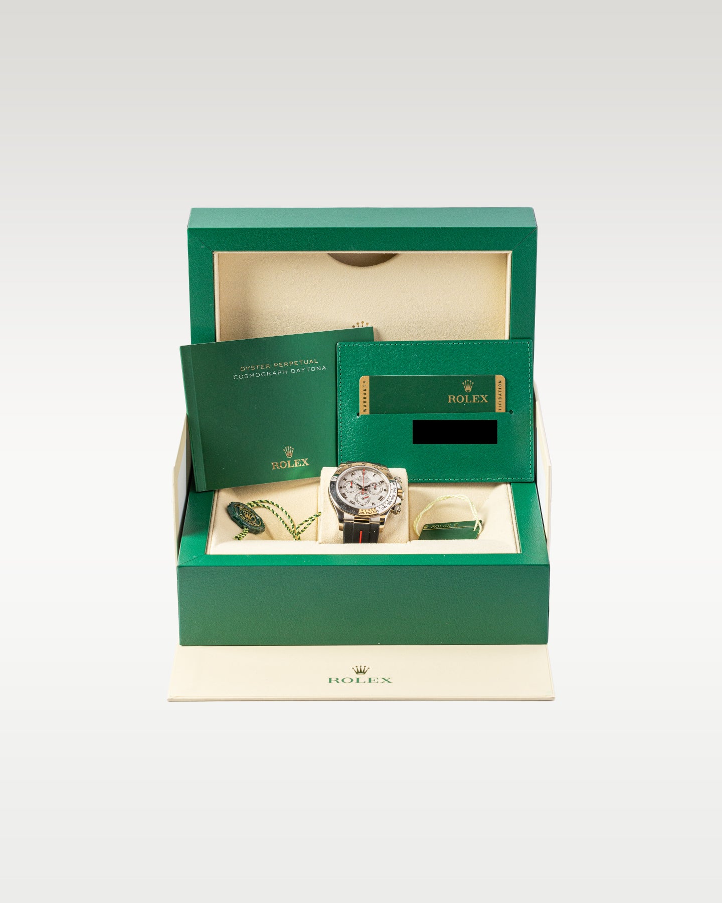 Rolex Daytona Meteorite Dial Leather Band 116519