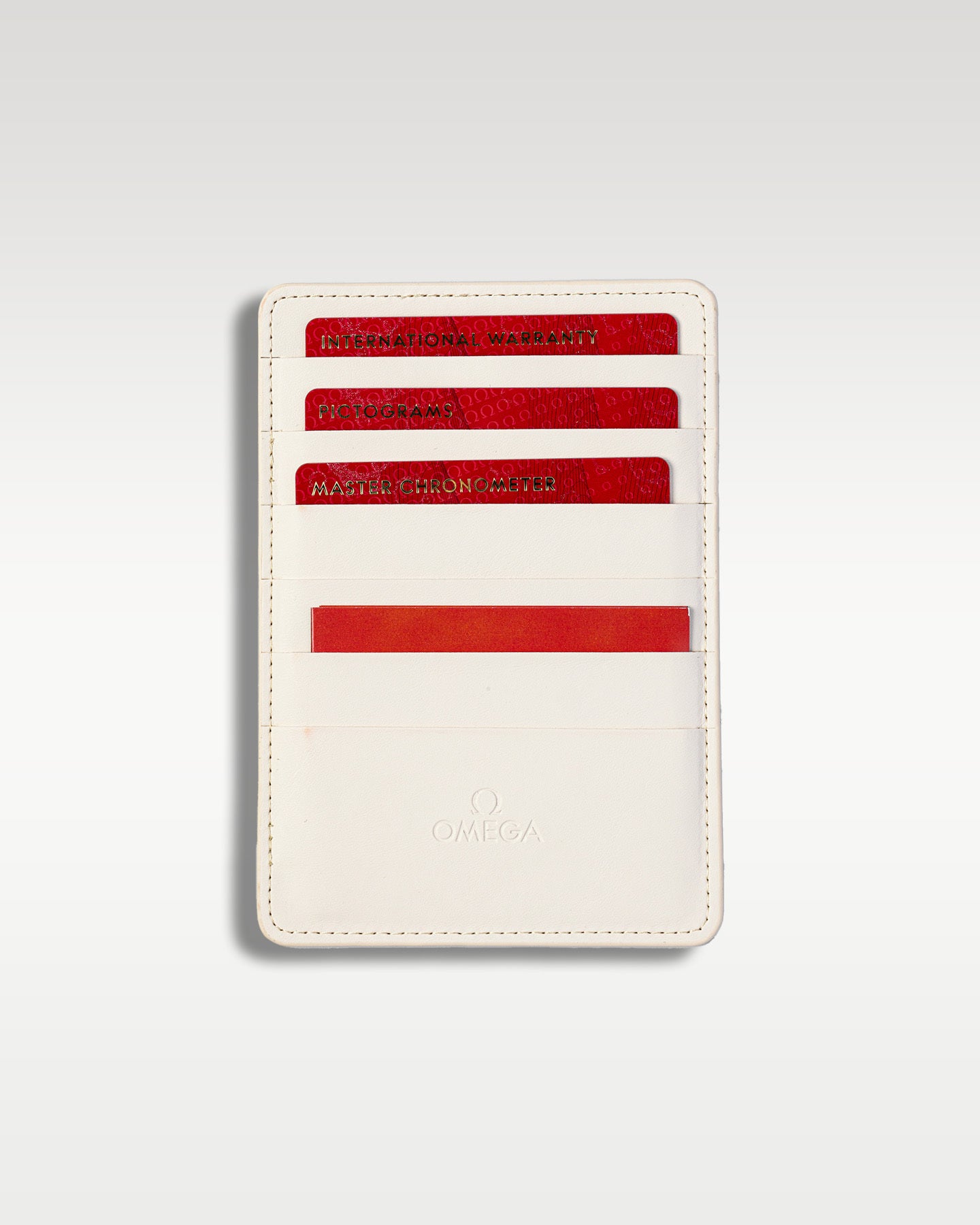 Omega Seamaster Worldtimer 22012432203001