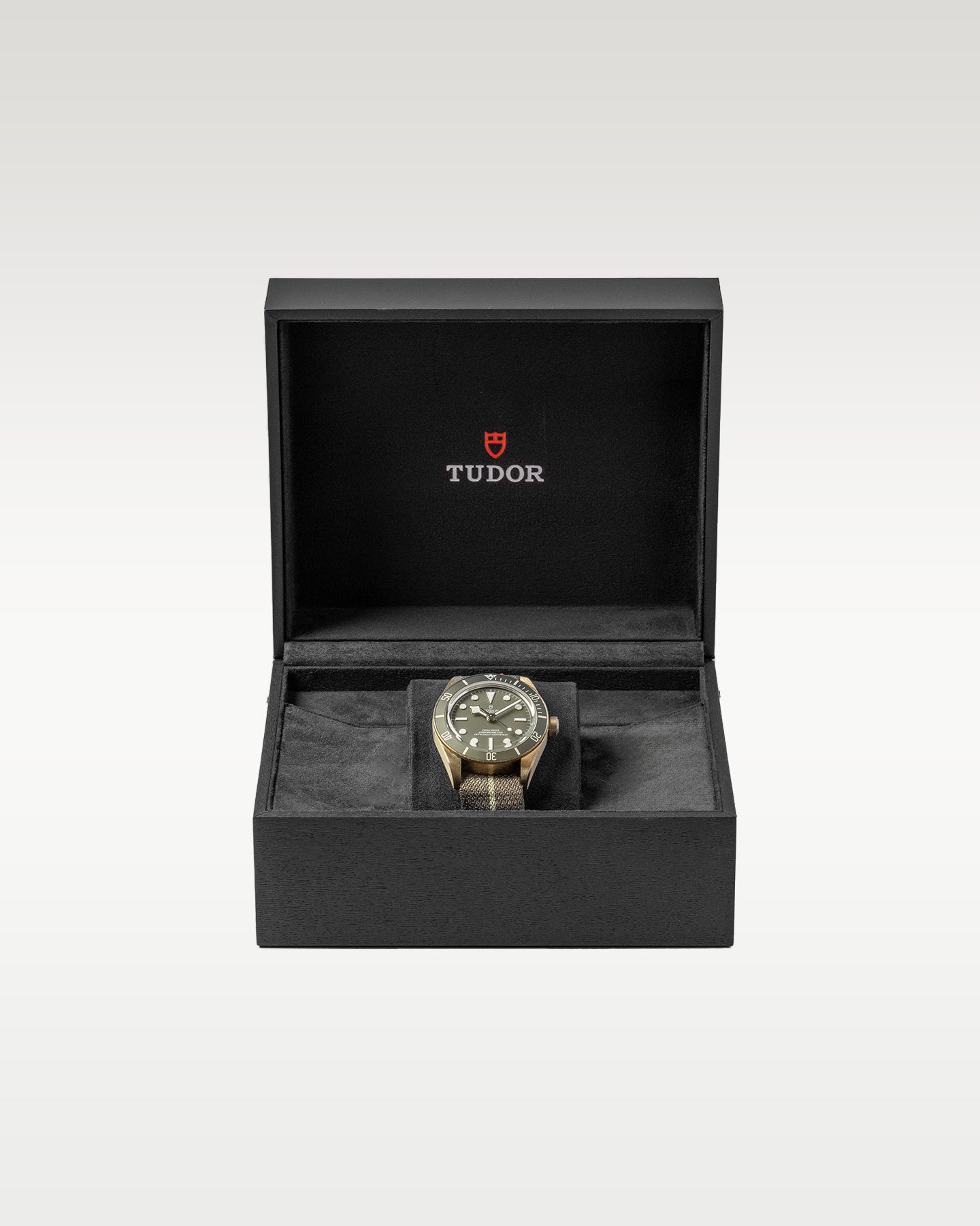 Tudor Black Bay 58 79010SG