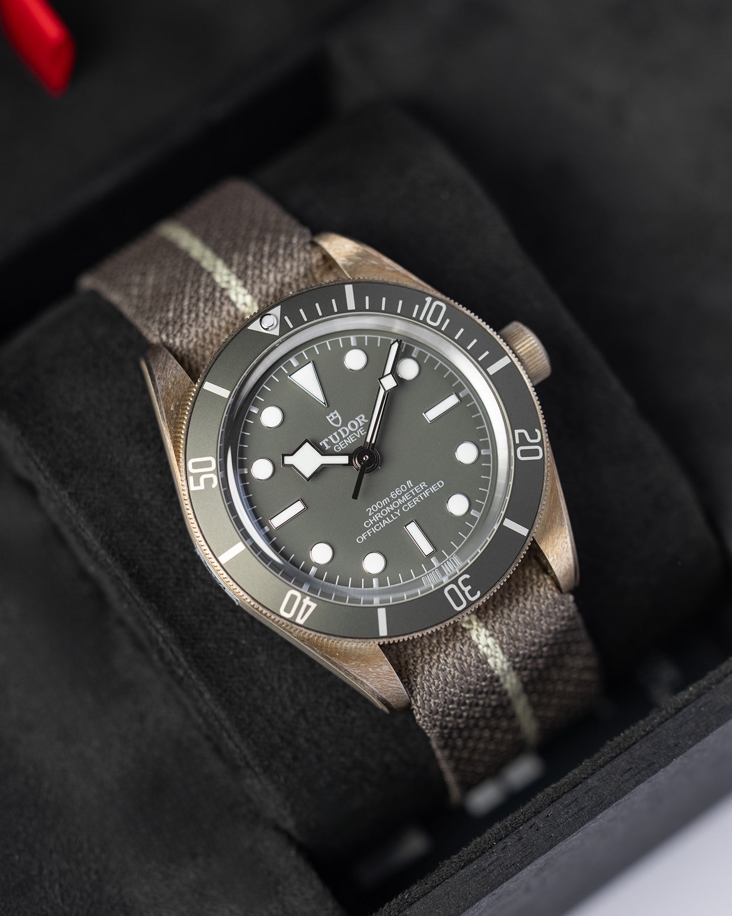 Tudor Black Bay 58 79010SG