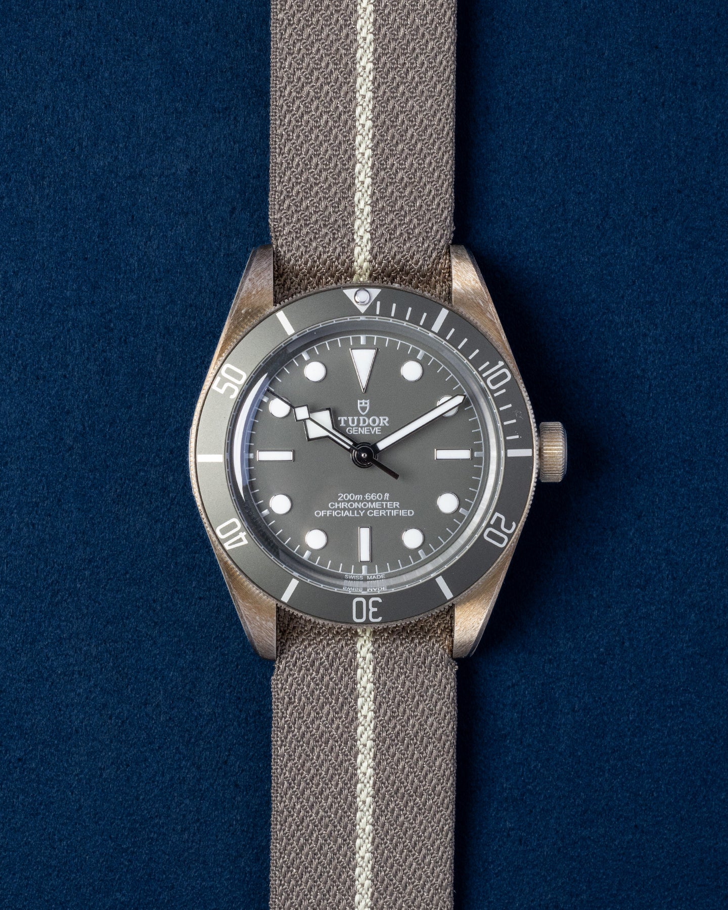 Tudor Black Bay 58 79010SG