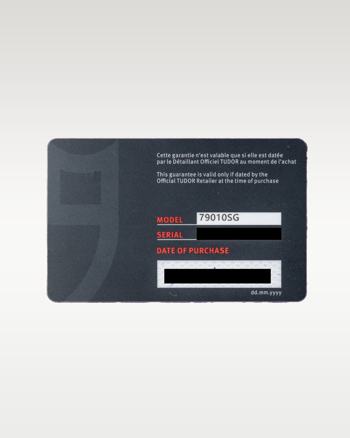 Tudor Black Bay 58 79010SG