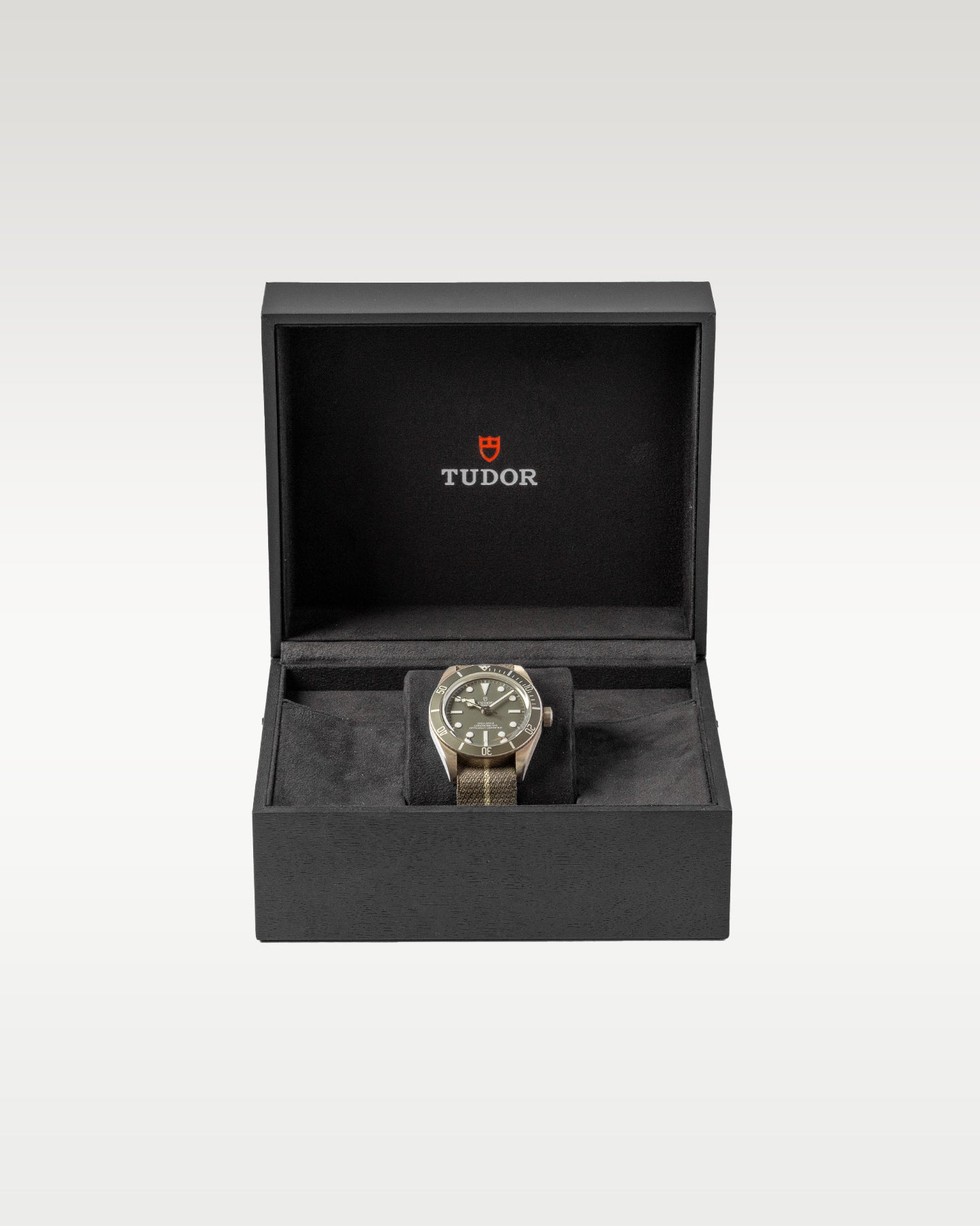 Tudor Black Bay 58 925 79010SG