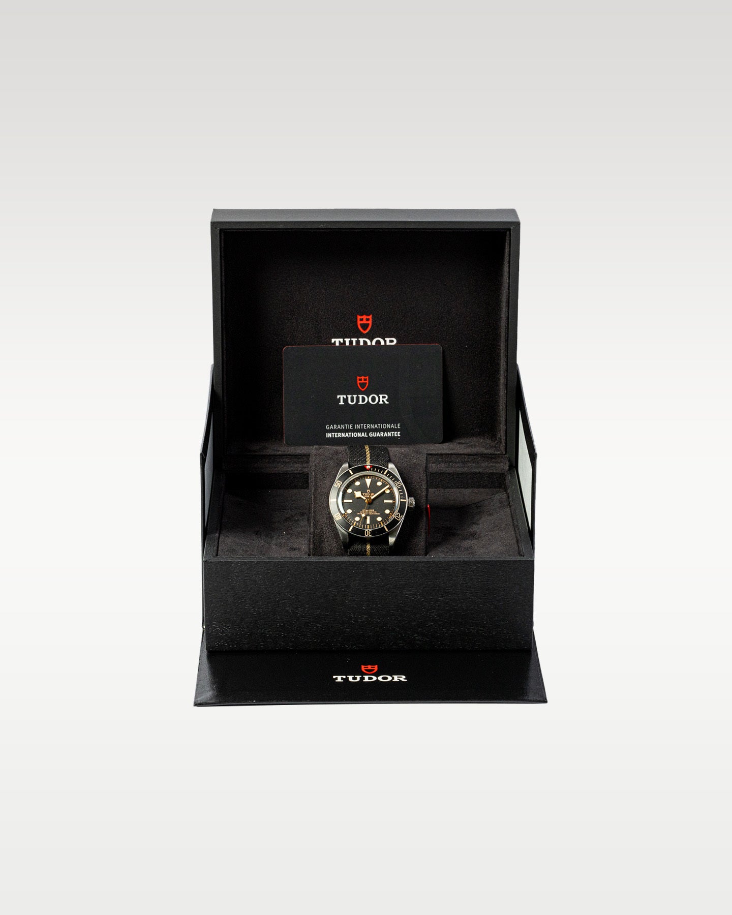 Tudor Black Bay 79030N