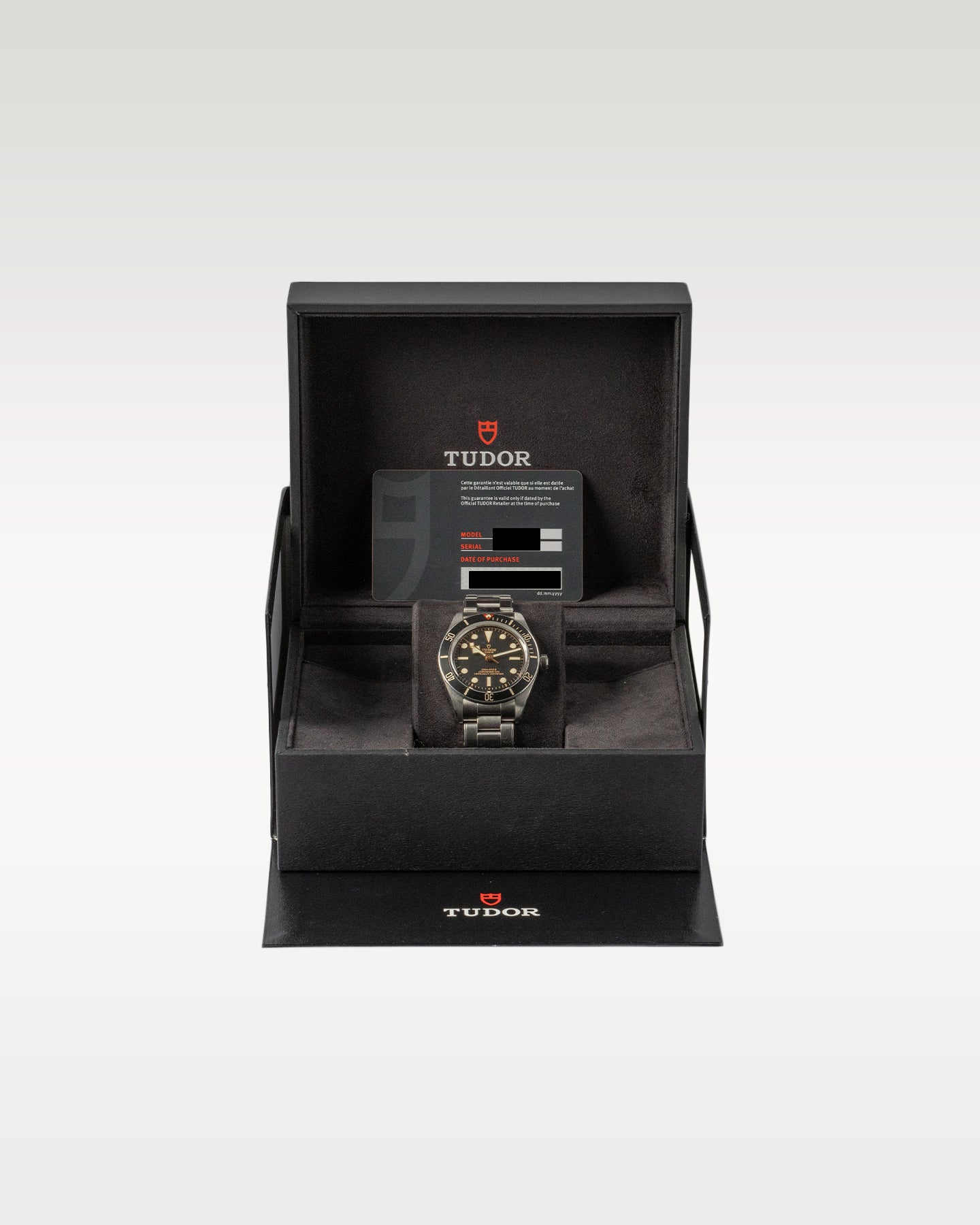 Tudor Black Bay 79030N