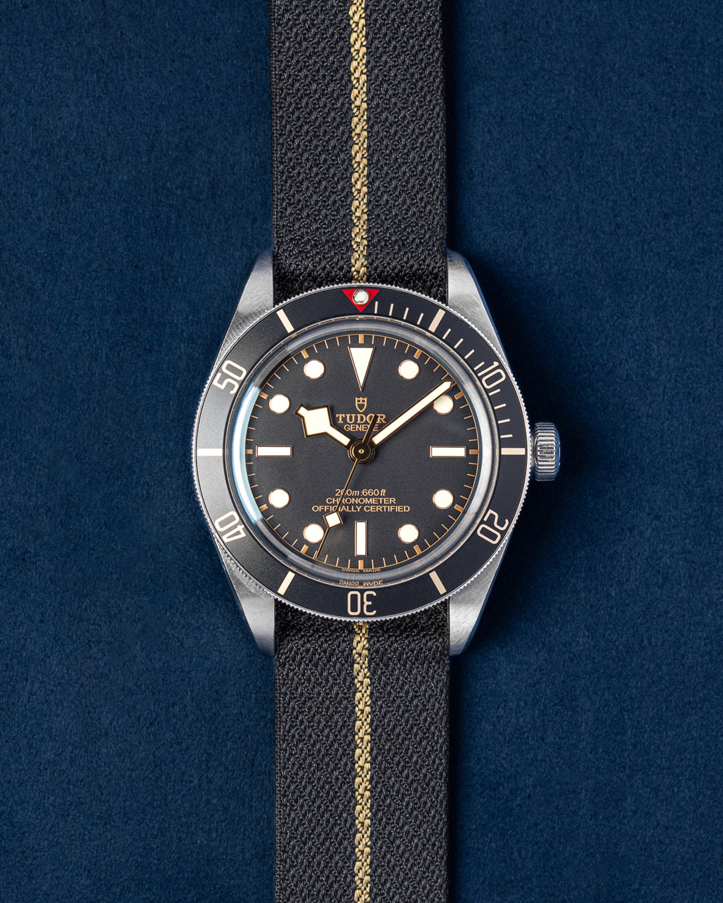 Tudor Black Bay 79030N