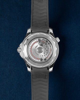 Omega Watches-Omega Seamaster 21032422001001