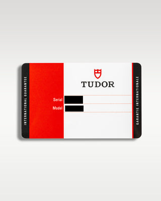 Tudor Black Bay 79540