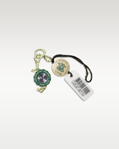 2023 Green Ball Engineer III Marvelight Chronometer NM9026C S6CJ GR Watch