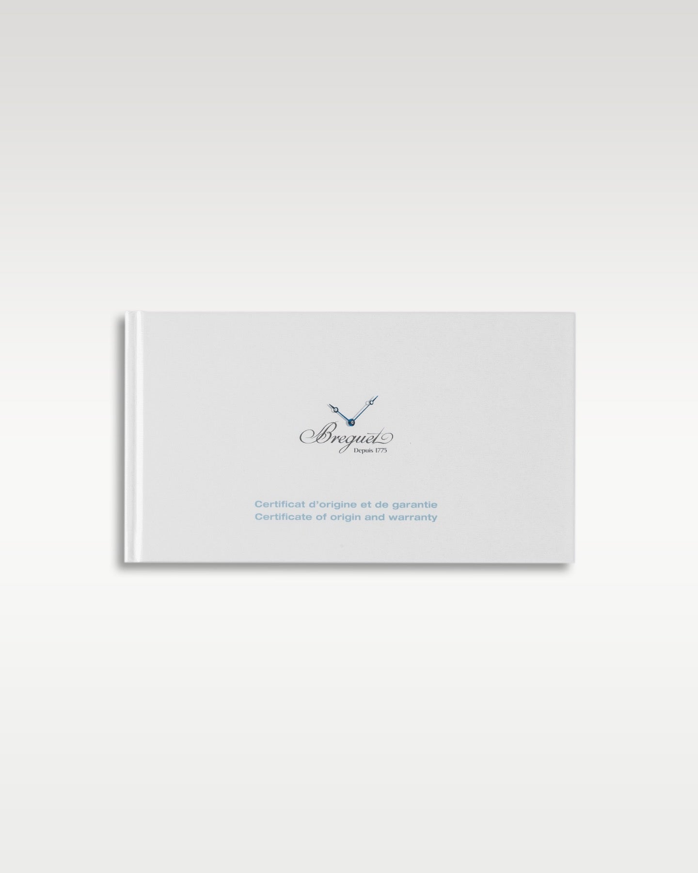 Titanium Breguet Marine Automatic 5517TIG25ZU | Grand Caliber Watches