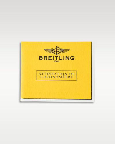 2009 Breitling Avenger Seawolf 45 A17330 | Grand Caliber Men's Watches