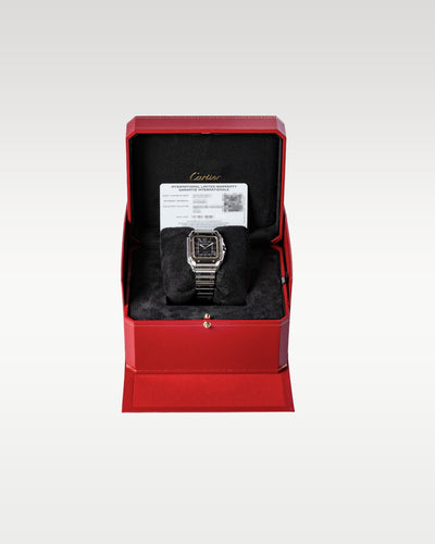 Medium Model Blue Cartier Santos de Cartier WSSA0063 | Grand Caliber Watches