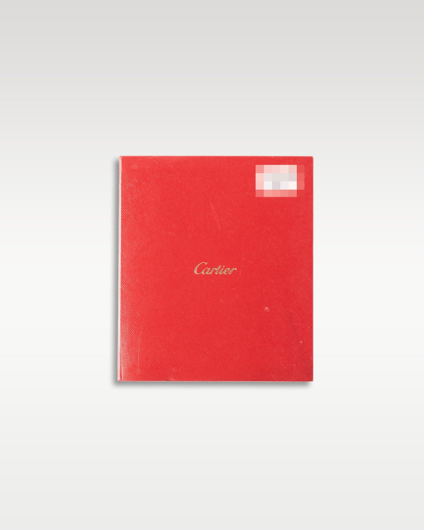 Cartier Santos 100 W20107X7