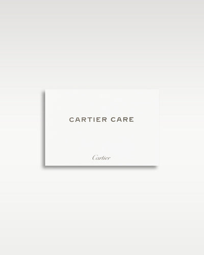 Cartier Santos De Cartier Skeleton WHSA0015 | Grand Caliber