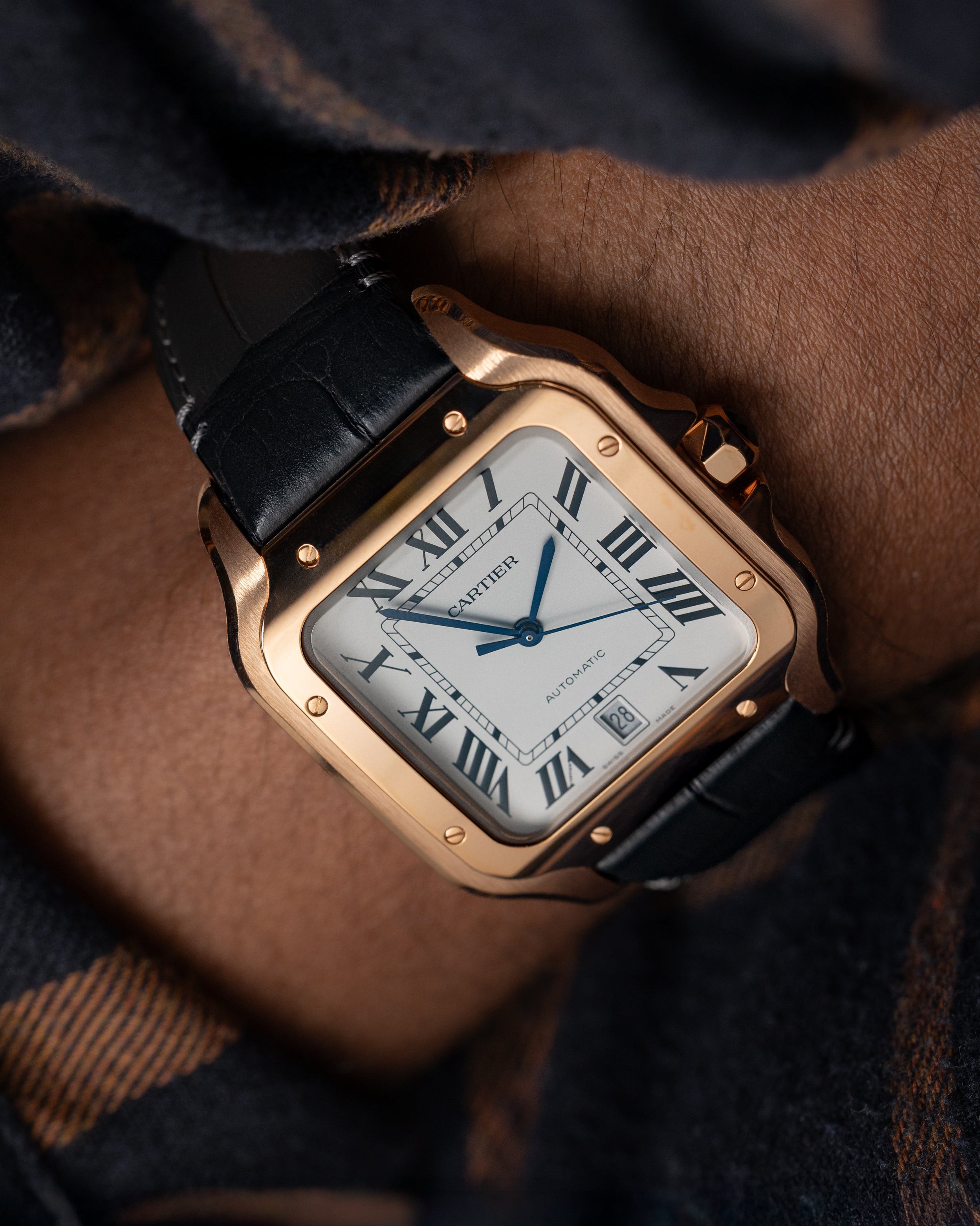 Cartier Santos De Cartier WGSA0019
