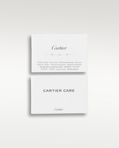 Cartier Santos De Cartier WSSA0018 at Grand Caliber | Dallas Watch Store