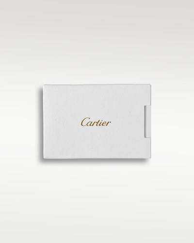 Cartier Santos De Cartier WSSA0018