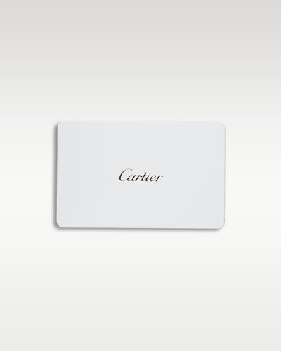 2025 Cartier Santos De Cartier 35.1mm WSSA0029 | Grand Caliber Dallas, Texas
