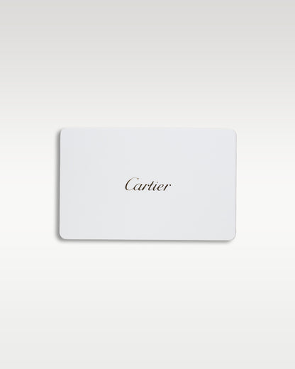 2025 Cartier Santos De Cartier 35.1mm WSSA0029 | Grand Caliber Dallas, Texas