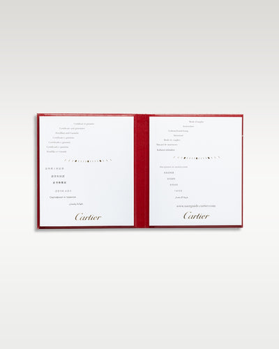 Cartier Santos De Cartier WSSA0029