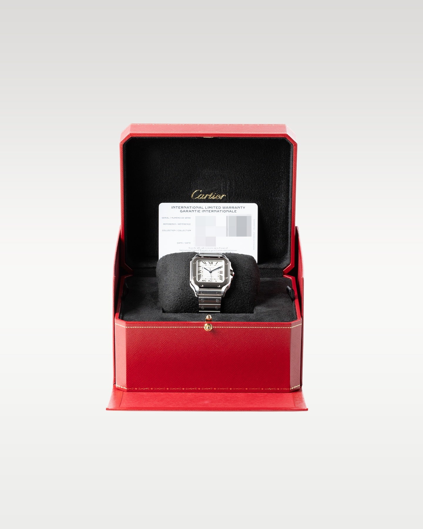 Cartier Santos De Cartier WSSA0029