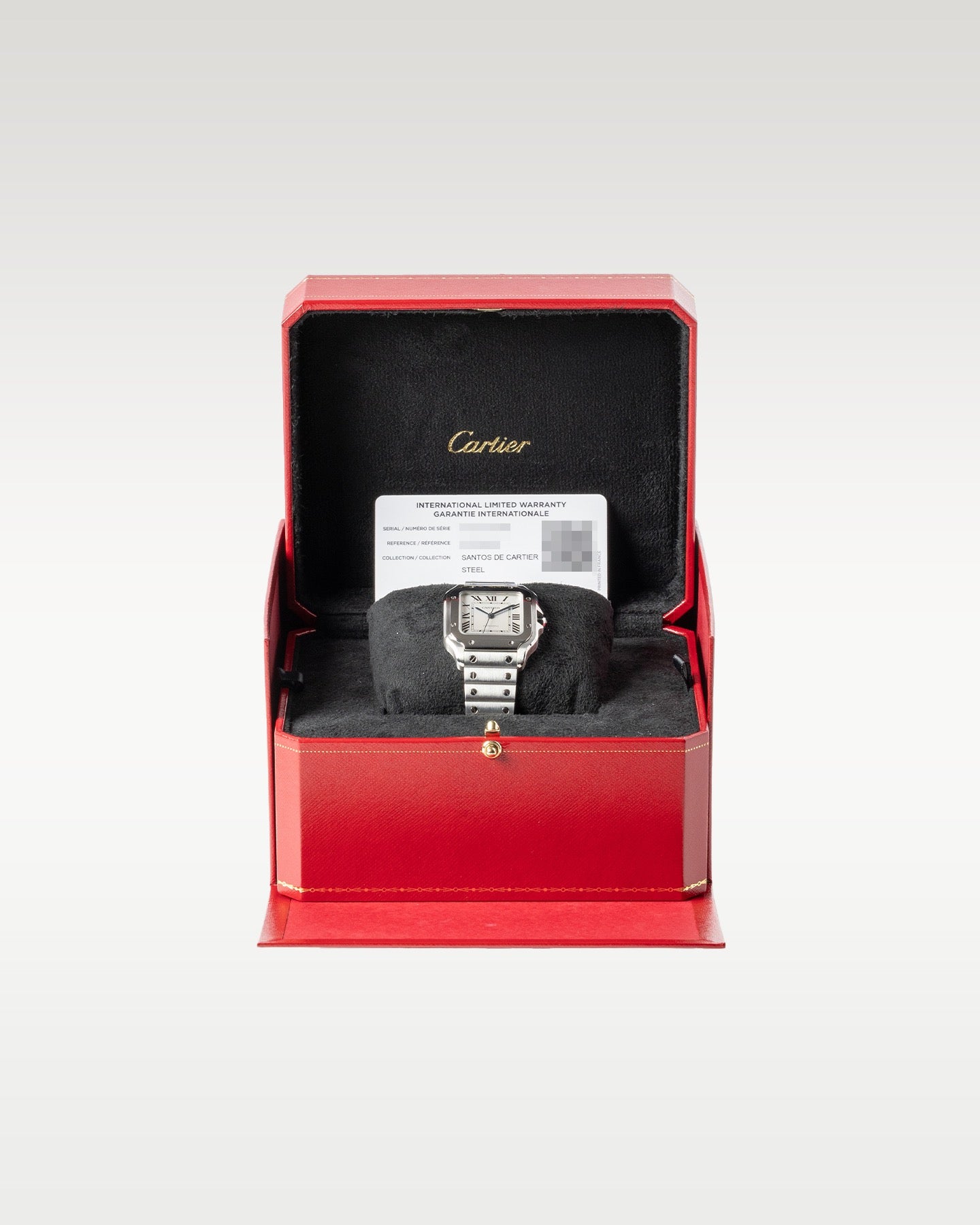 Cartier Santos De Cartier WSSA0029