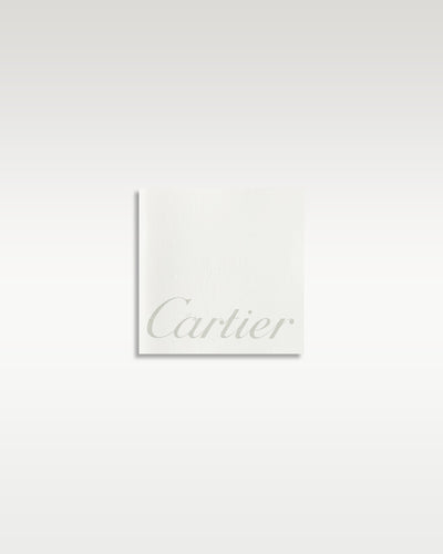 Cartier Santos De Cartier WSSA0029