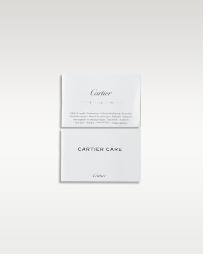 Cartier Santos De Cartier WSSA0029