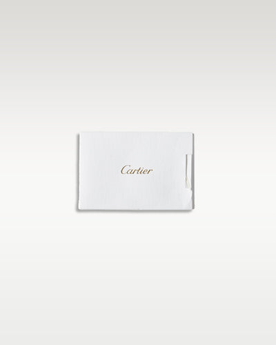 Cartier Santos De Cartier WSSA0029