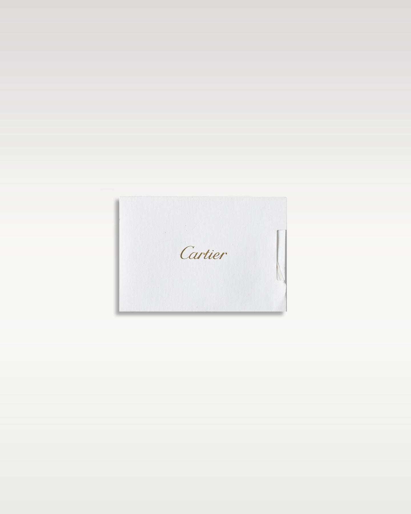 Cartier Santos De Cartier WSSA0029