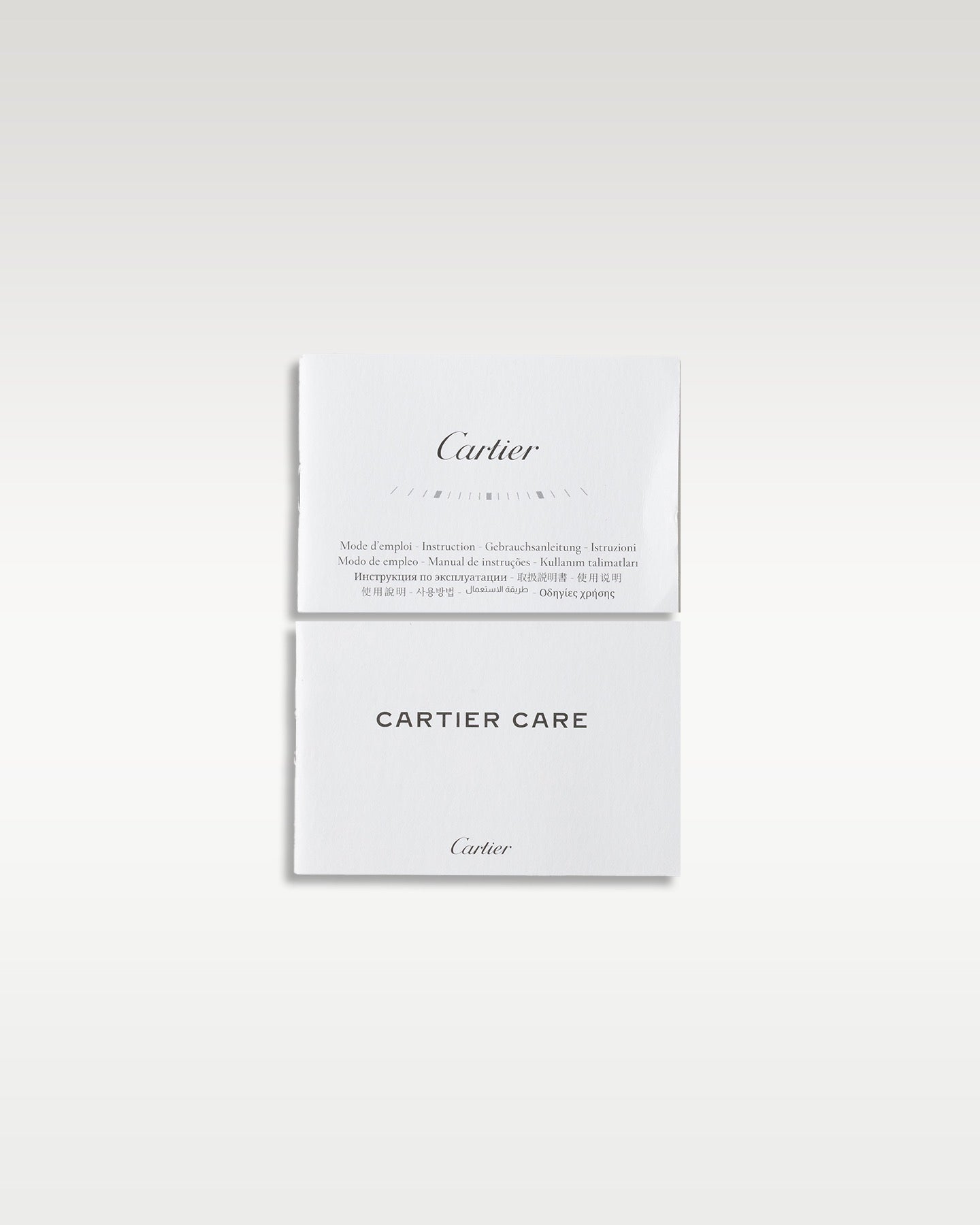 Cartier Santos De Cartier WSSA0029