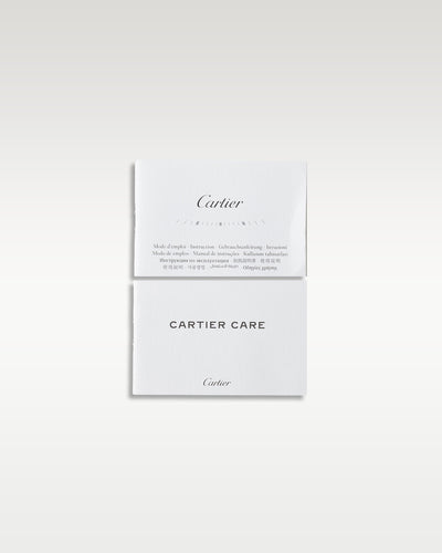 Cartier Santos De Cartier WSSA0029