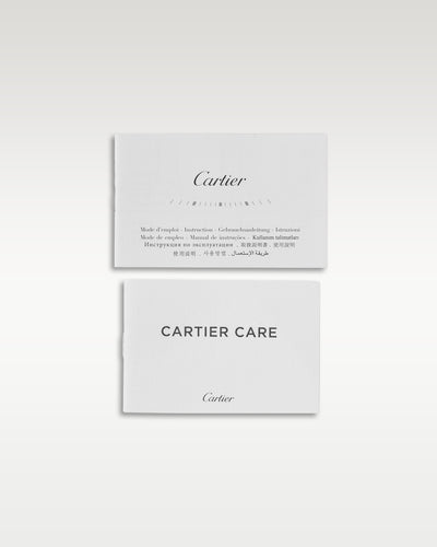 Steel Blue Santos De Cartier WSSA0030 Cartier Watch | Grand Caliber Dallas