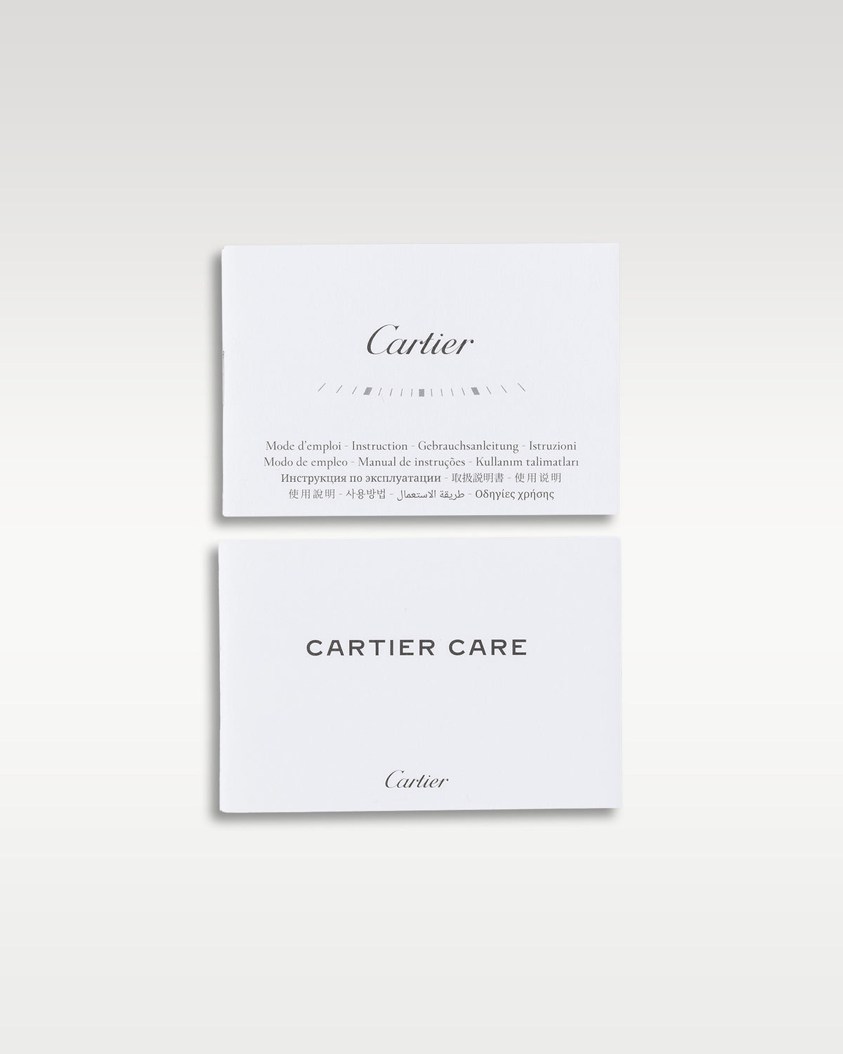 Cartier Santos De Cartier WSSA0039