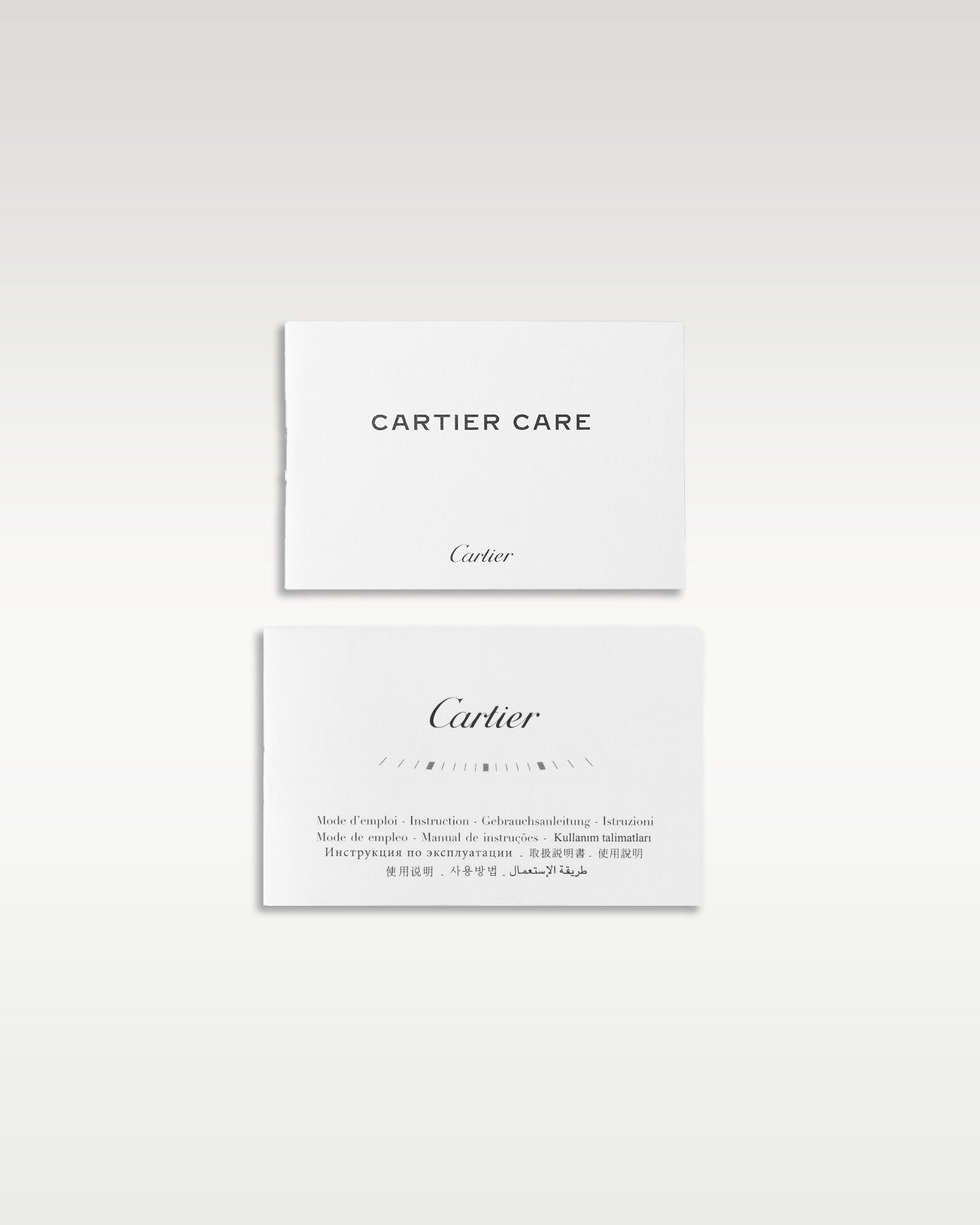 Cartier Santos De Cartier WSSA0039