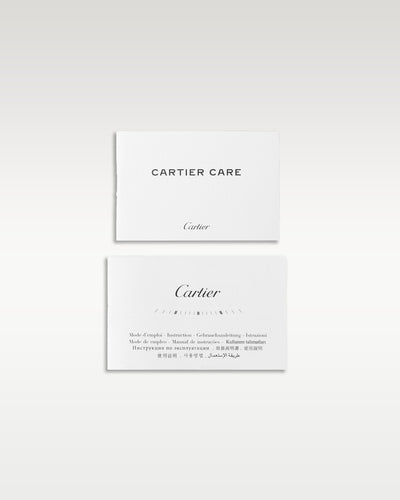 Black ADLC Cartier Santos De Cartier WSSA0039 | Grand Caliber Watches