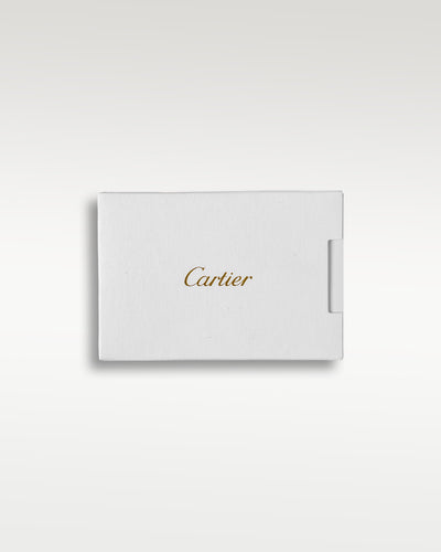 Cartier Santos Dumont W2SA0011