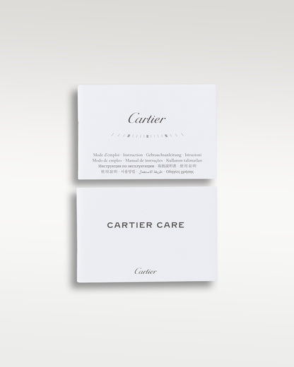 Cartier Santos Dumont W2SA0011