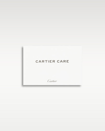 Cartier Santos WHSA0026