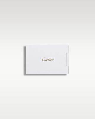 Cartier Santos WSSA0037