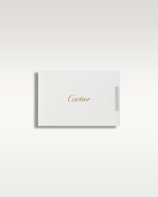 Cartier Santos WSSA0047