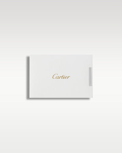 Cartier Santos WSSA0047