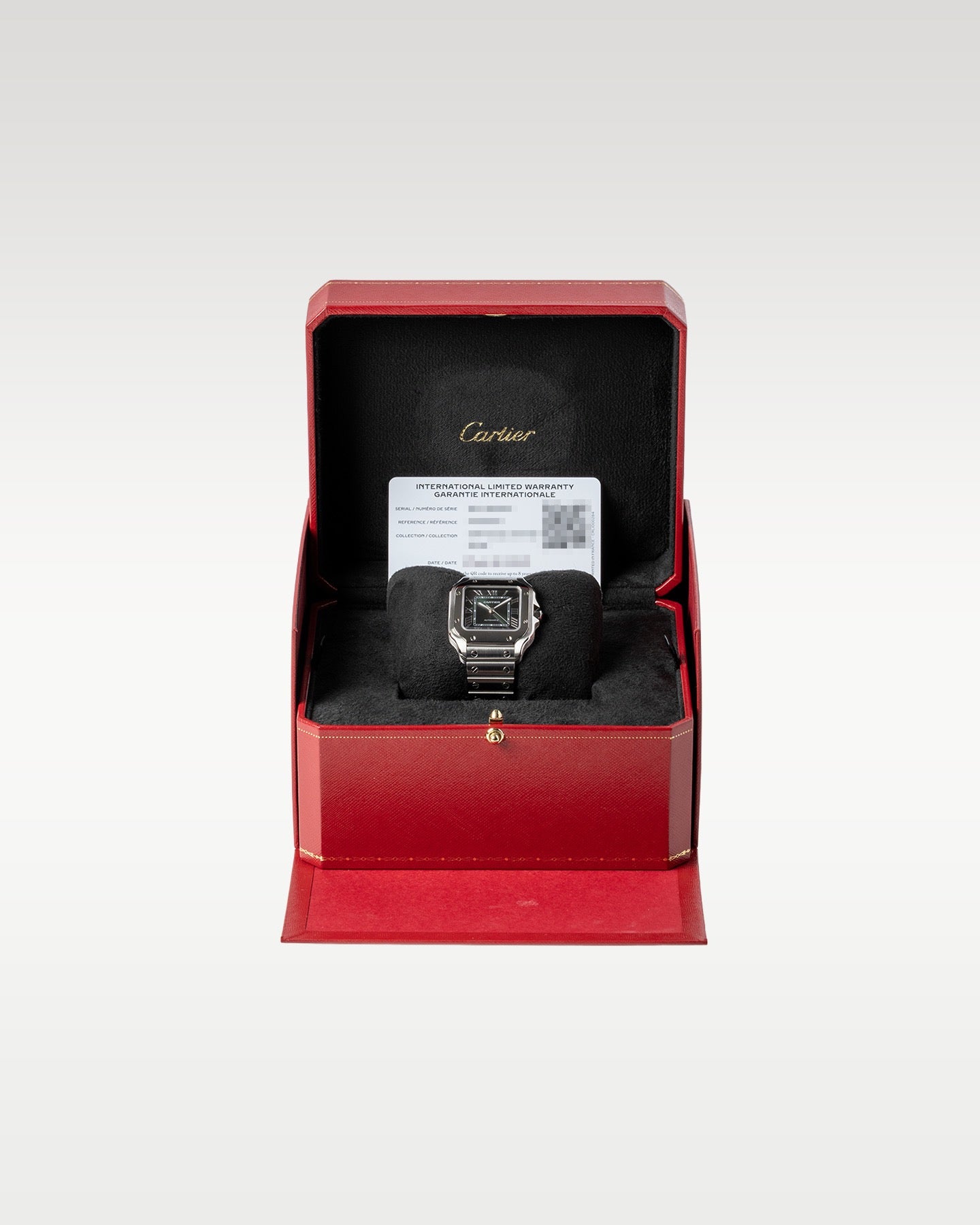 Cartier Santos WSSA0061