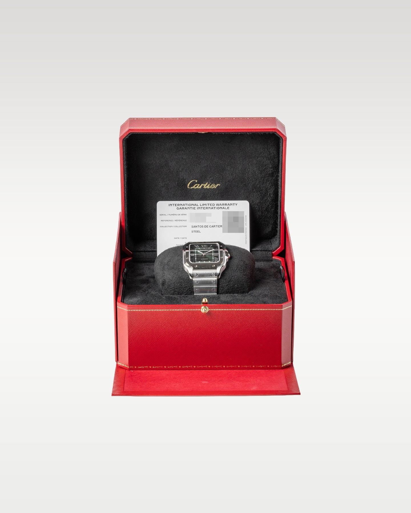 Cartier Santos de Cartier Large Green WSSA006 | Grand Caliber Watches DFW