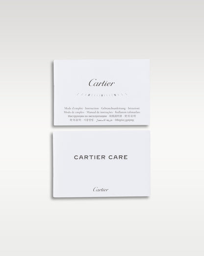 Cartier Santos WSSA0065