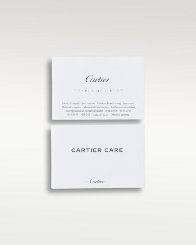 Cartier Santos de Cartier WSSA0018