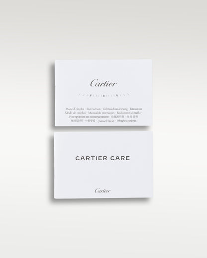 Cartier Santos de Cartier WSSA0018