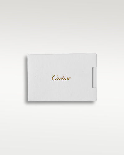 Cartier Santos de Cartier WSSA0018