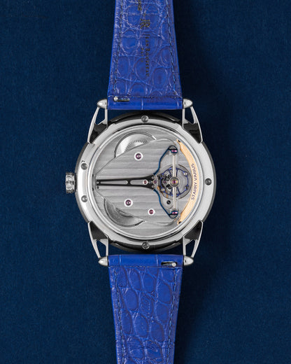 Titanium De Bethune DB25 Starry Varius DB25VTIS3 | Grand Caliber Watches TX