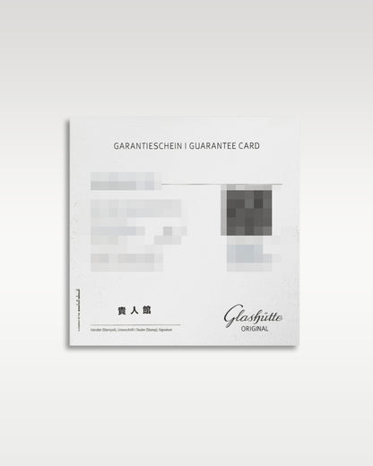 Glashütte Original Seaq Panoramadatum 1-36-13-01-80-70